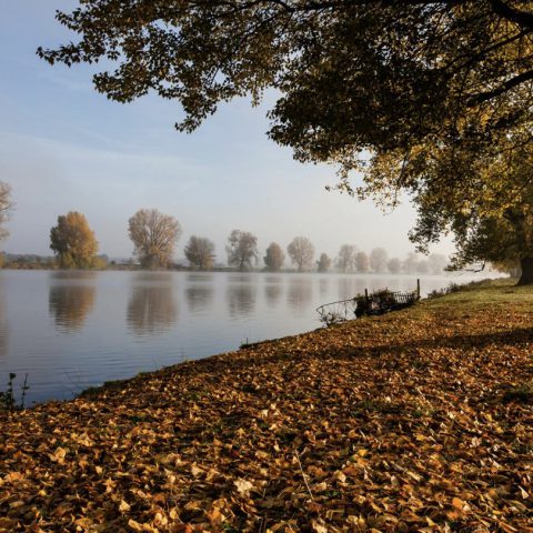 Wandeling langs de Maas