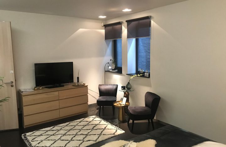 SUITE 2023