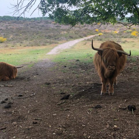 wandeling Mookerheide