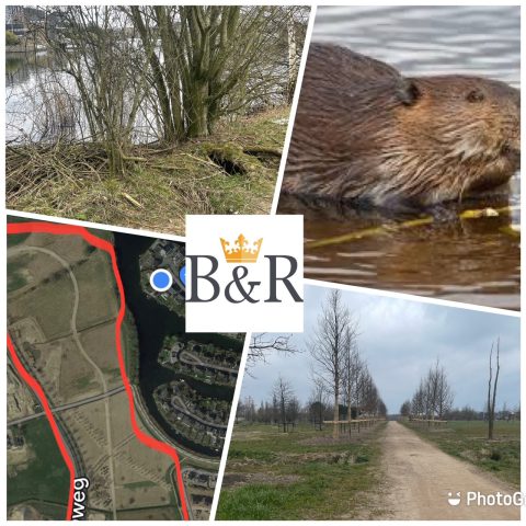 220314 wandelen door het in aanleg zijnde landschapspark